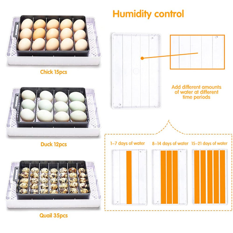 Automatic Digital Poultry Hatching Machine  12-24 Eggs