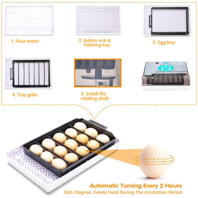 Automatic Digital Poultry Hatching Machine  12-24 Eggs