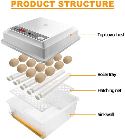 Automatic Egg Hatching Incubator for Chicken Duck Quail Bird Eggs (16 Eggs)
