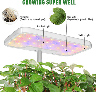 Indoor Garden Hydroponic Growing System - White