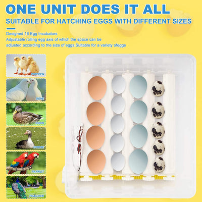 Automatic Egg Hatching Incubator for Chicken Duck Quail Bird Eggs (16 Eggs)