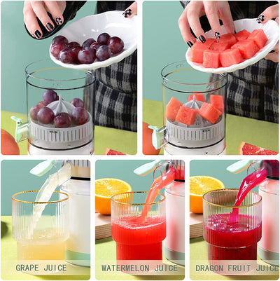 Portable Automatic Fruit Juicer Machine