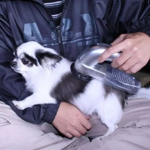 Cat Dog Vacuum Pet Hair Grooming Brush Tool