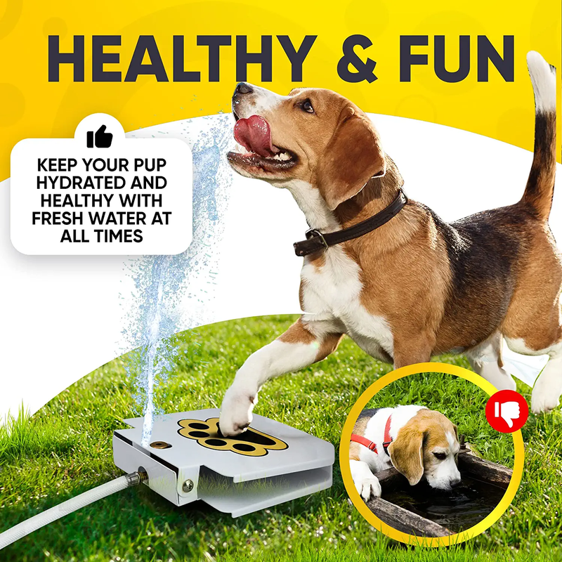 Step On Paw Activated Dog Water Fountain Sprinkler