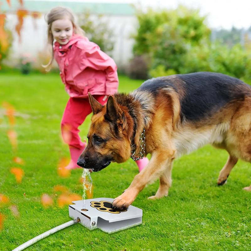 Step On Paw Activated Dog Water Fountain Sprinkler